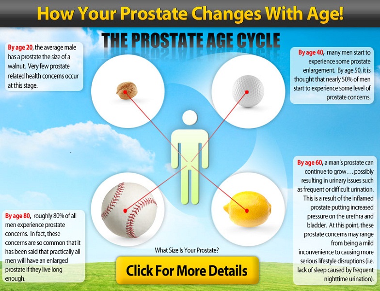 Average Prostate Size Healthy Prostate Size MedixSelect